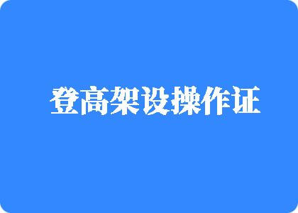 把你逼操大登高架设操作证